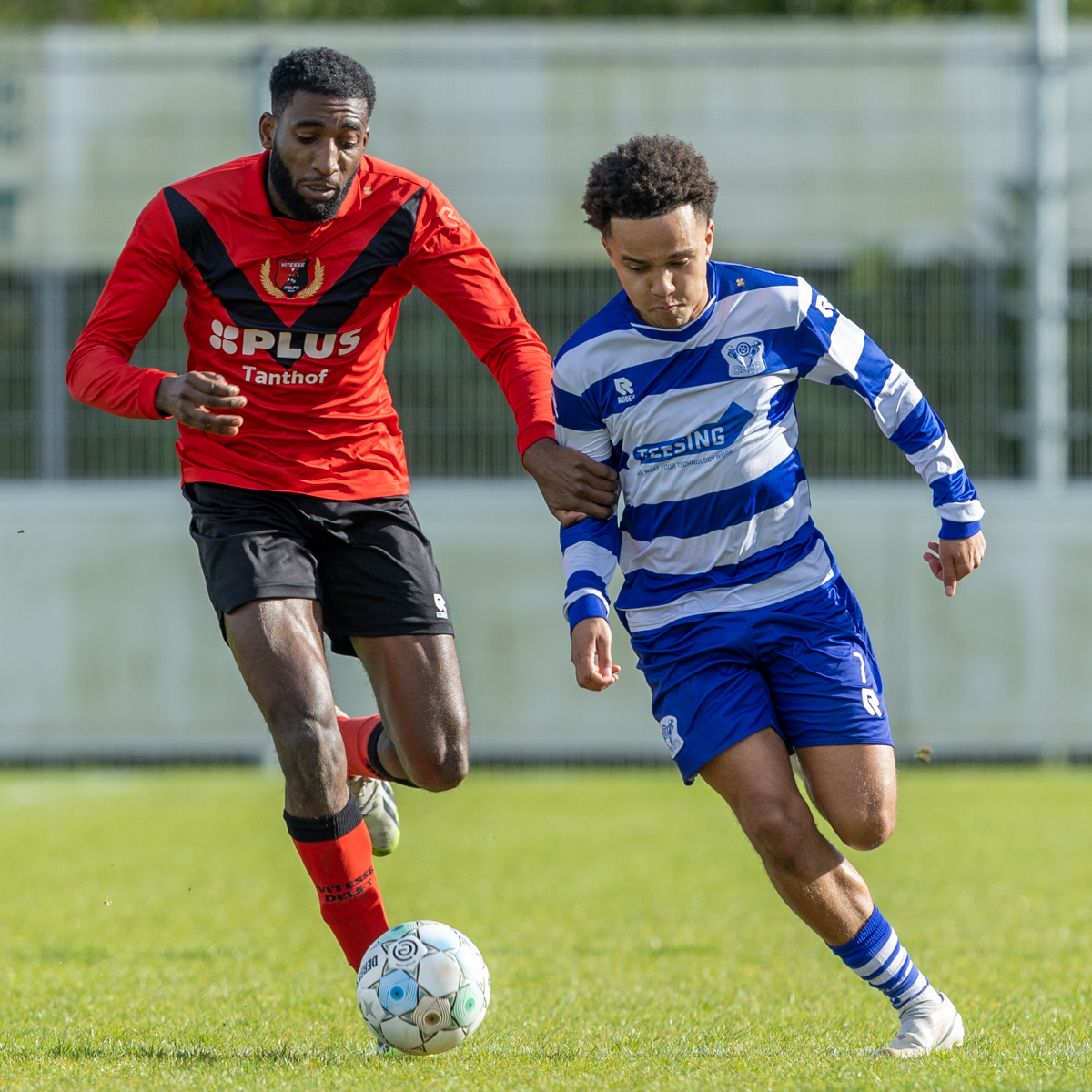 Vitesse Delft – Oliveo