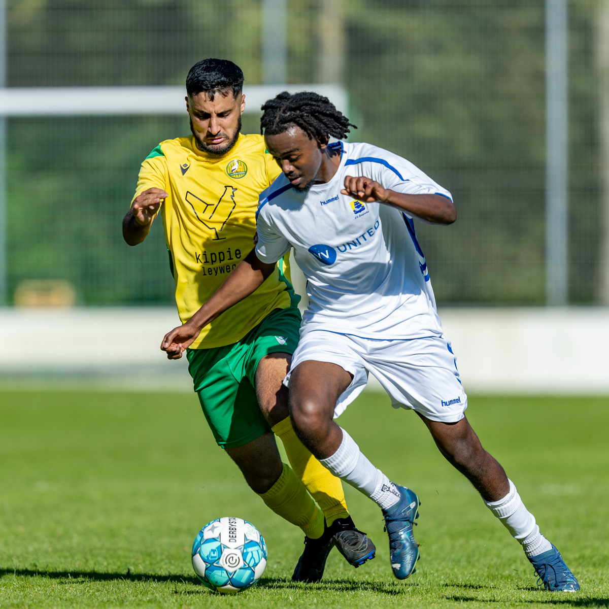 PGS/Vogel – Schipluiden