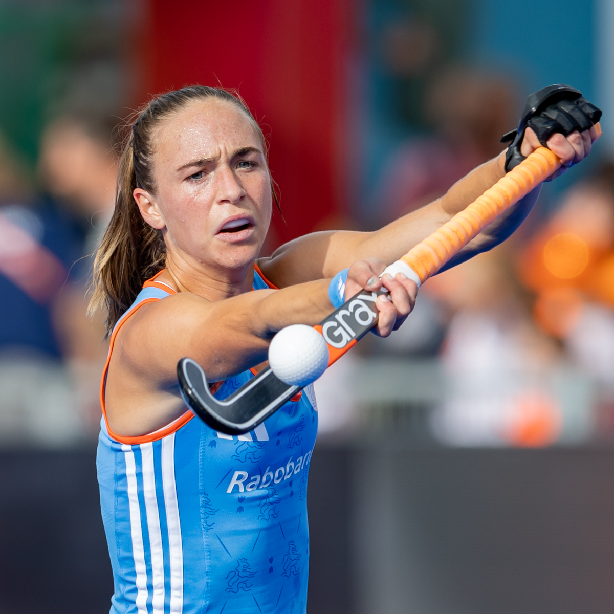Nederland – India